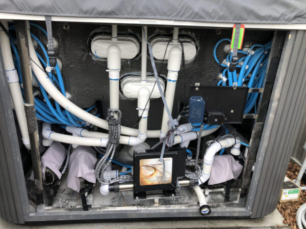10ft Walk In Swim Spa - Image 6